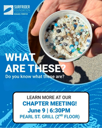 Surfrider Foundation Niagara Frontier Chapter Meeting