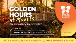 Golden Hours at Mounts