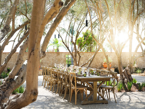 Il Convivio: An Evening in the Olive Grove