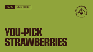 Strawberry Picking at Wilson's Orchard & Farm - Des Moines, IA