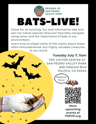 Bats-Live!