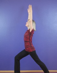Beginning-Continuing Yoga