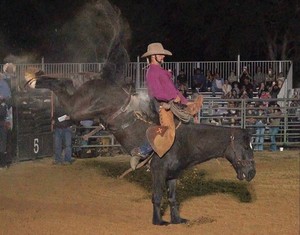Tampa Bay Rodeo & Family Festival