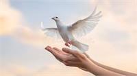 Forgiveness and Forgiveness Ritual