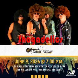 Tribute Tuesday: Shagadelics