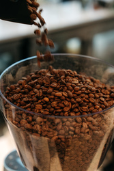 The Daily Prescription: A Coffee Tasting   Pairing Experience