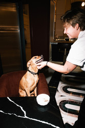 Paws on the Patio at Jots