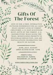 Gifts Of The Forest