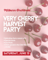 Very Cherry Harvest Party at Milburn Orchards