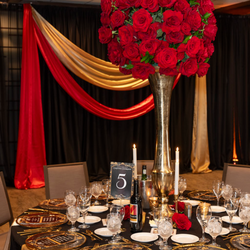 Sarasota Opera Gala: A Night of Camellias & Champagne