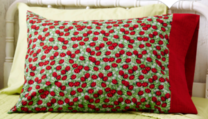 Make It Take It: Pillow Case