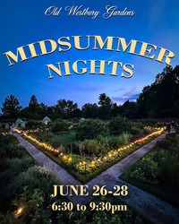 MIDSUMMER NIGHTS!