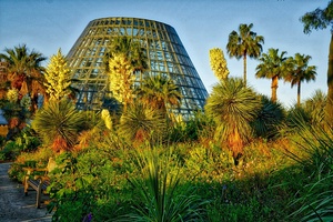 Neighbors in Nature Day at San Antonio Botanical Garden