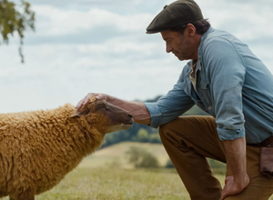The Sheep Detectives (2026)