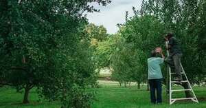 Edwardsville Garden Club - Program - THE GIVING GROVE: Little Orchards. Big Impact. - June 13, 2026