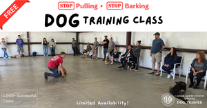 Free Dog Training class