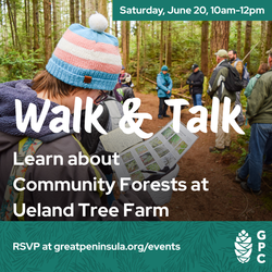 Walk & Talk: Community Forests at Ueland Tree Farm