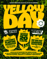 MY BIG FAT SHAWARMA AND BRIGHTSIDE COLLECTIVE TEAM UP TO CELEBRATE NATIONAL YELLOW DAY