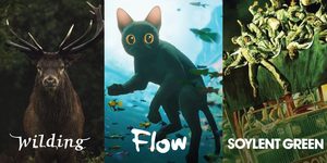 ReelTALK: FILM CLASS Stories and Their Humans: Tales of an Anthropocenic World