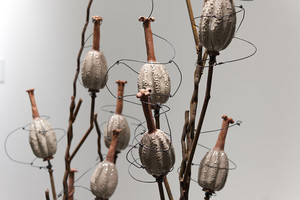 Deborah Stewart, "Propagation and Endurance"