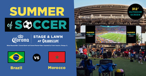 Summer of Soccer: Netherlands vs Japan