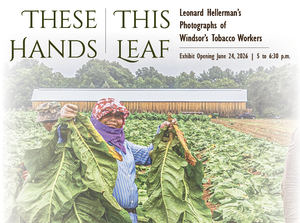 “These Hands, This Leaf” Honors CT Tobacco Workers