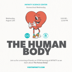 Homeschool Wednesday – The Human Body