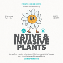 Homeschool Wednesday – Native and Invasive Plants