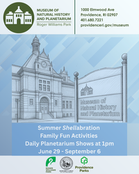 Summer Shellabration at the Museum of Natural History and Planetarium