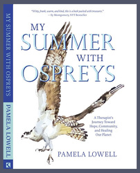 Artist Talk with Pamela Lowell LICSW /  SoCoSD Re-Opening Event