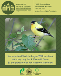 Summer Bird Walk in Roger Williams Park
