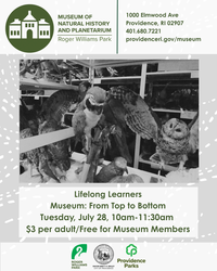 Lifelong Learners: Museum: From Top to Bottom