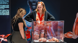 Dads Get In Free This Father's Day at Bodies - The Science Within