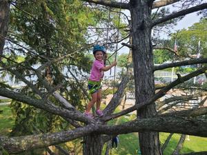 Specialty Program Day: Junior Arborist Adventures (June 26)