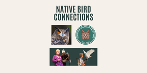 Native Bird Connections