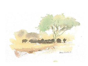 Sketching and Painting Animals From Life