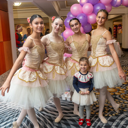 Sugar Plum Fairy Children’s Ball