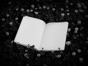 Writing Workshop with Woodbridge Poet Laureate