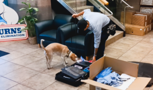 Don’t Unpack Yet: Free Bed Bug Luggage Checks After Holiday Travel