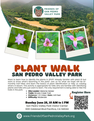 Plant Walk in San Pedro Valley Park - Moderate