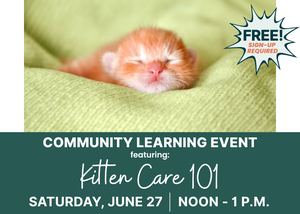Community Learning Event featuring Kitten Care 101