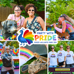 Party with Pride