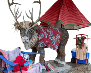 Christmas in July at the Reindeer Farm