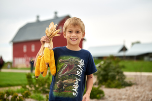 Summer Harvest Days