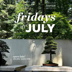 Fridays in July: Open Late at Pacific Bonsai Museum