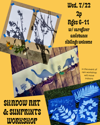 Shadow Art & Sunprints