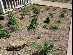 New Date! Gravel Gardens 101 with Native Plants