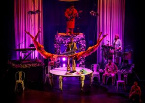 Cirque Alfonse: La Noce