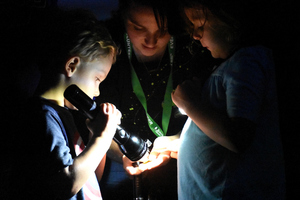 Fireflies and Friends Festival