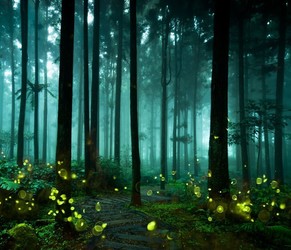Preschool Explorers: Fascinating Fireflies (Afternoon)